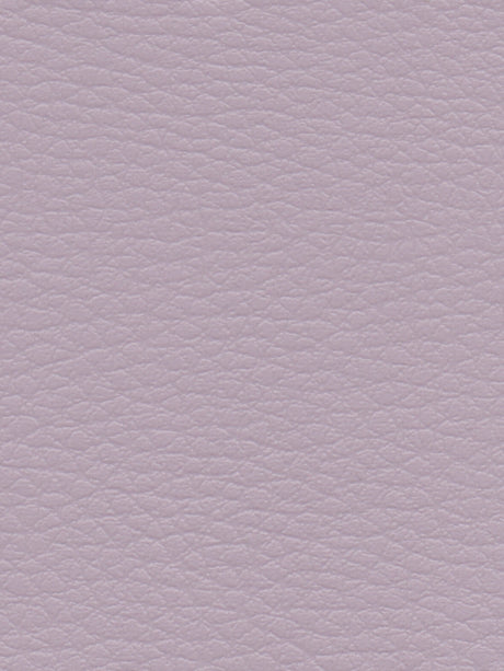 Imagen de CI-PRALINE