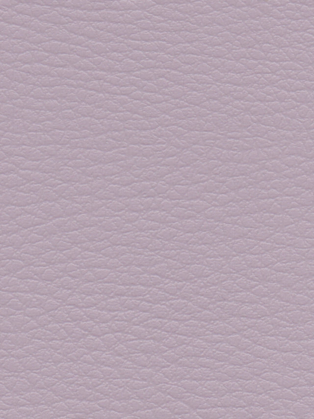 Imagen de CI-PRALINE