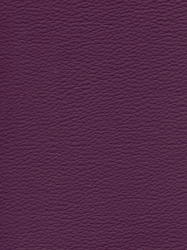 Imagen de CI-QUETSCHE