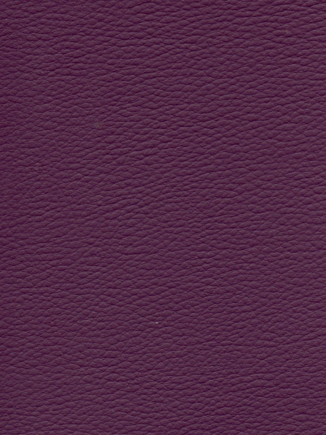 Imagen de CI-QUETSCHE