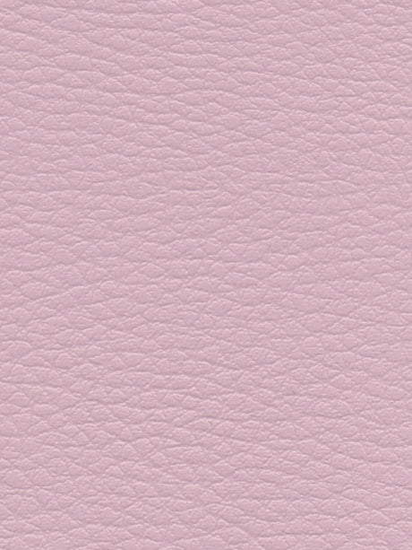 Imagen de CI-ROSE