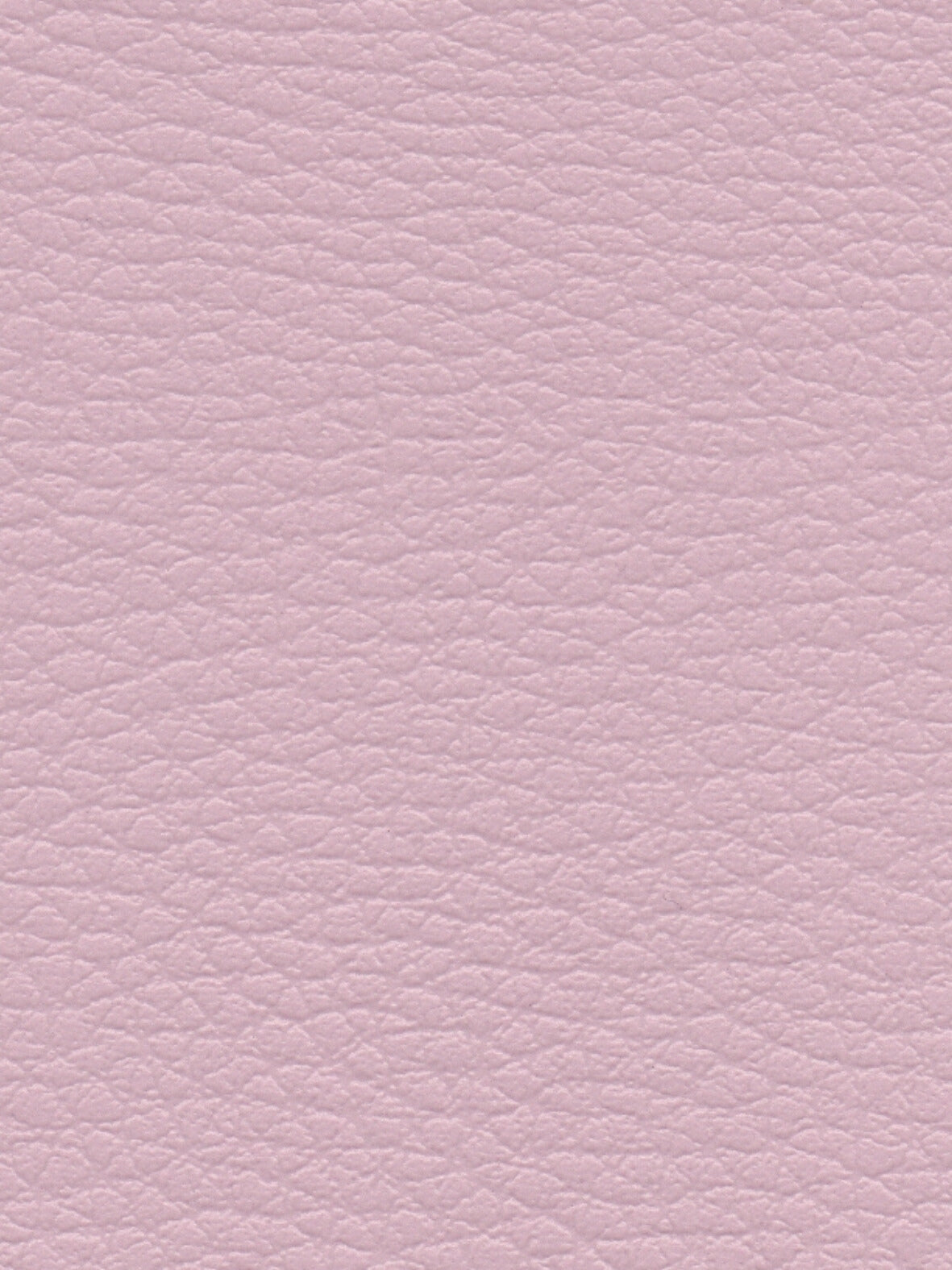 Imagen de CI-ROSE