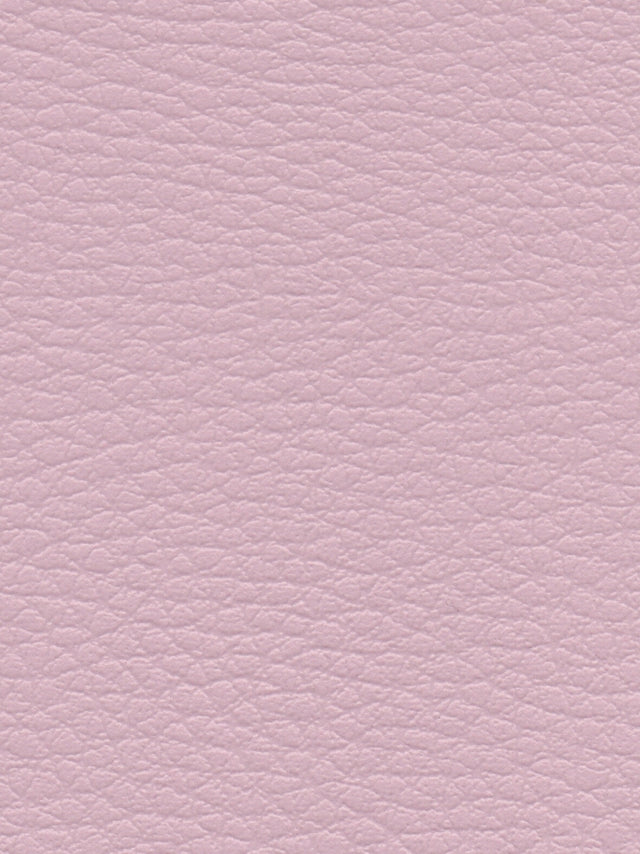 Imagen de CI-ROSE