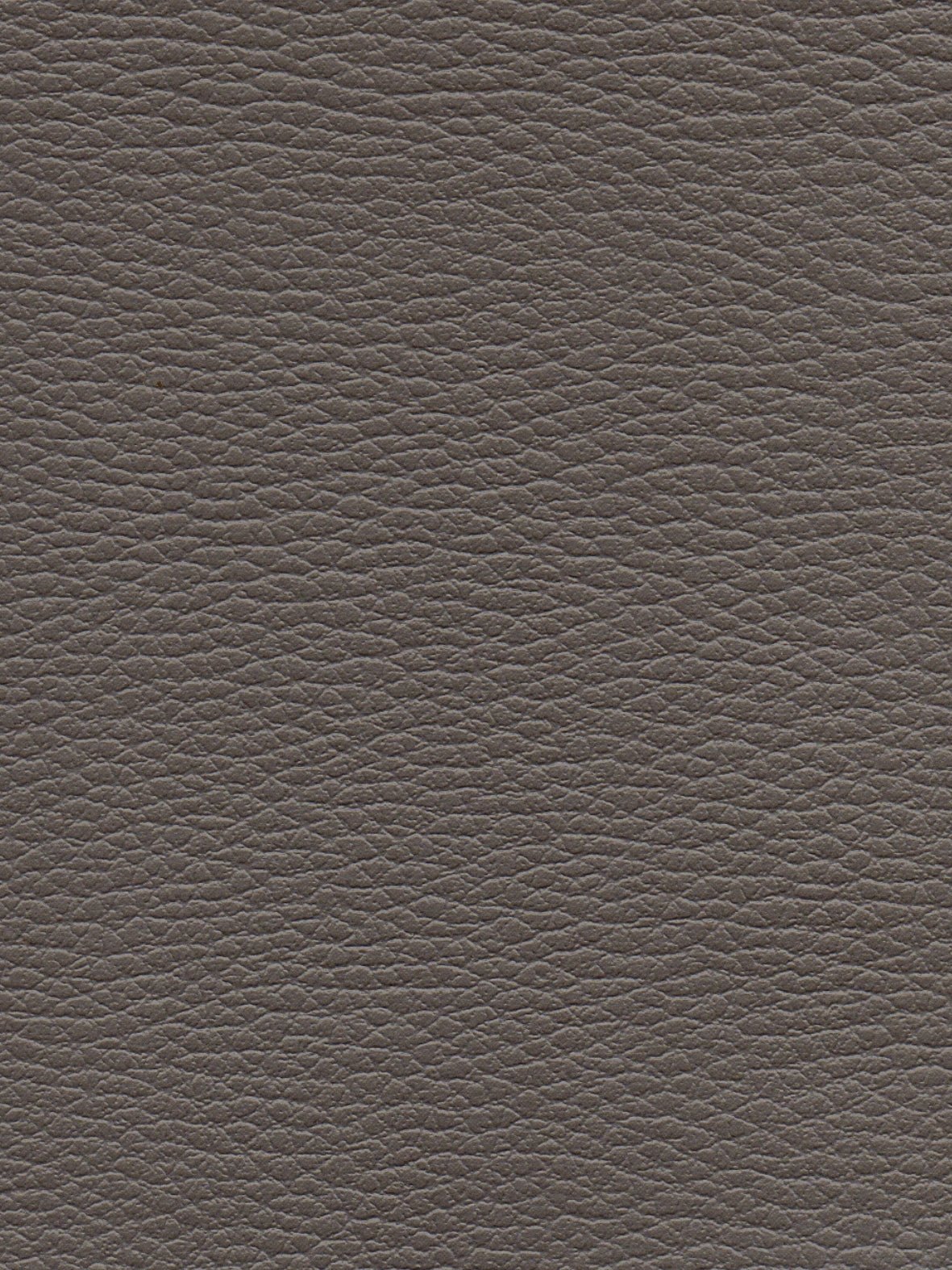 Imagen de CI-SOURIS