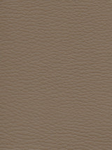 Imagen de CI-TAUPE