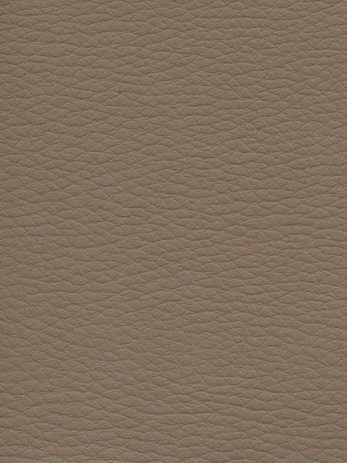 Imagen de CI-TAUPE