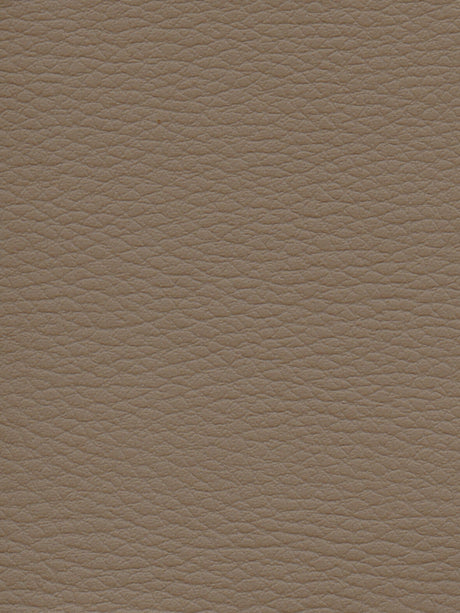 Imagen de CI-TAUPE