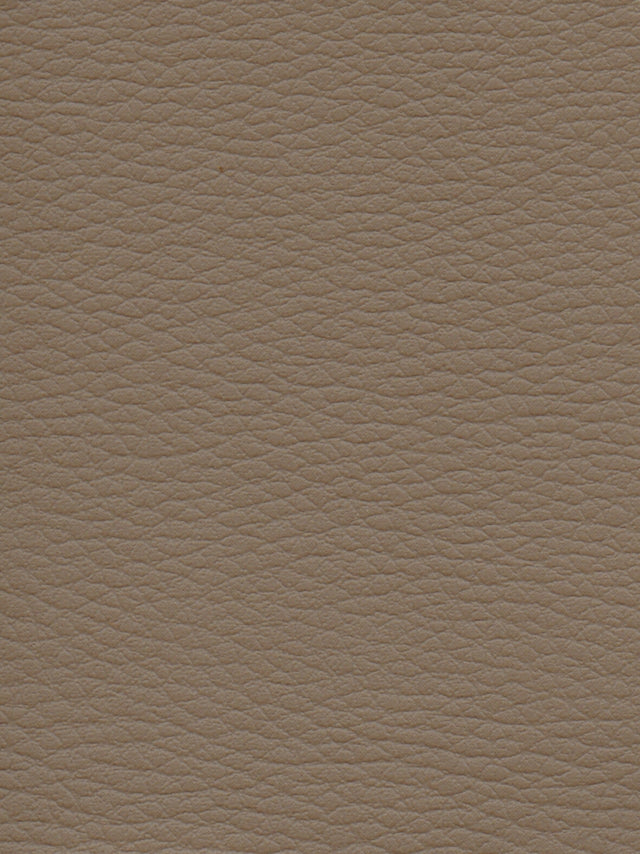 Imagen de CI-TAUPE