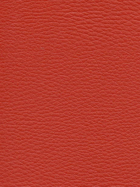 Imagen de CI-TOMETTE