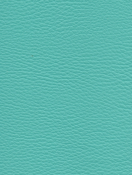 Imagen de CI-TURQUOISE