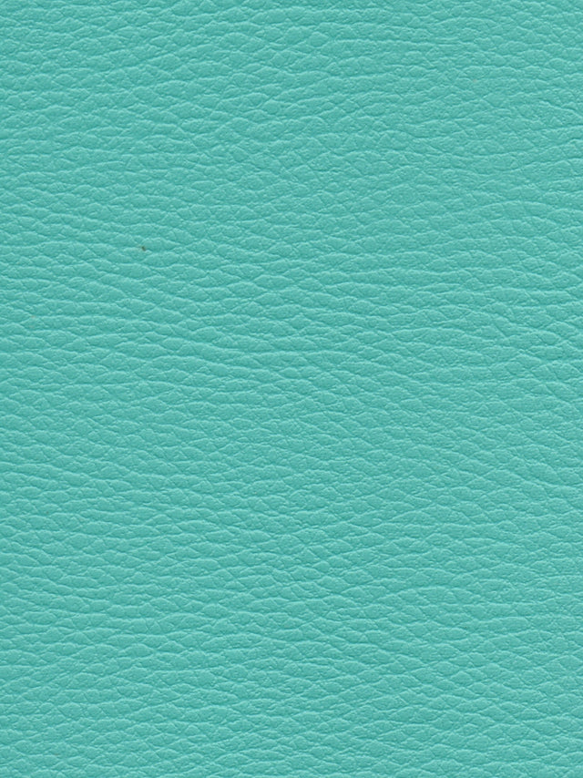 Imagen de CI-TURQUOISE