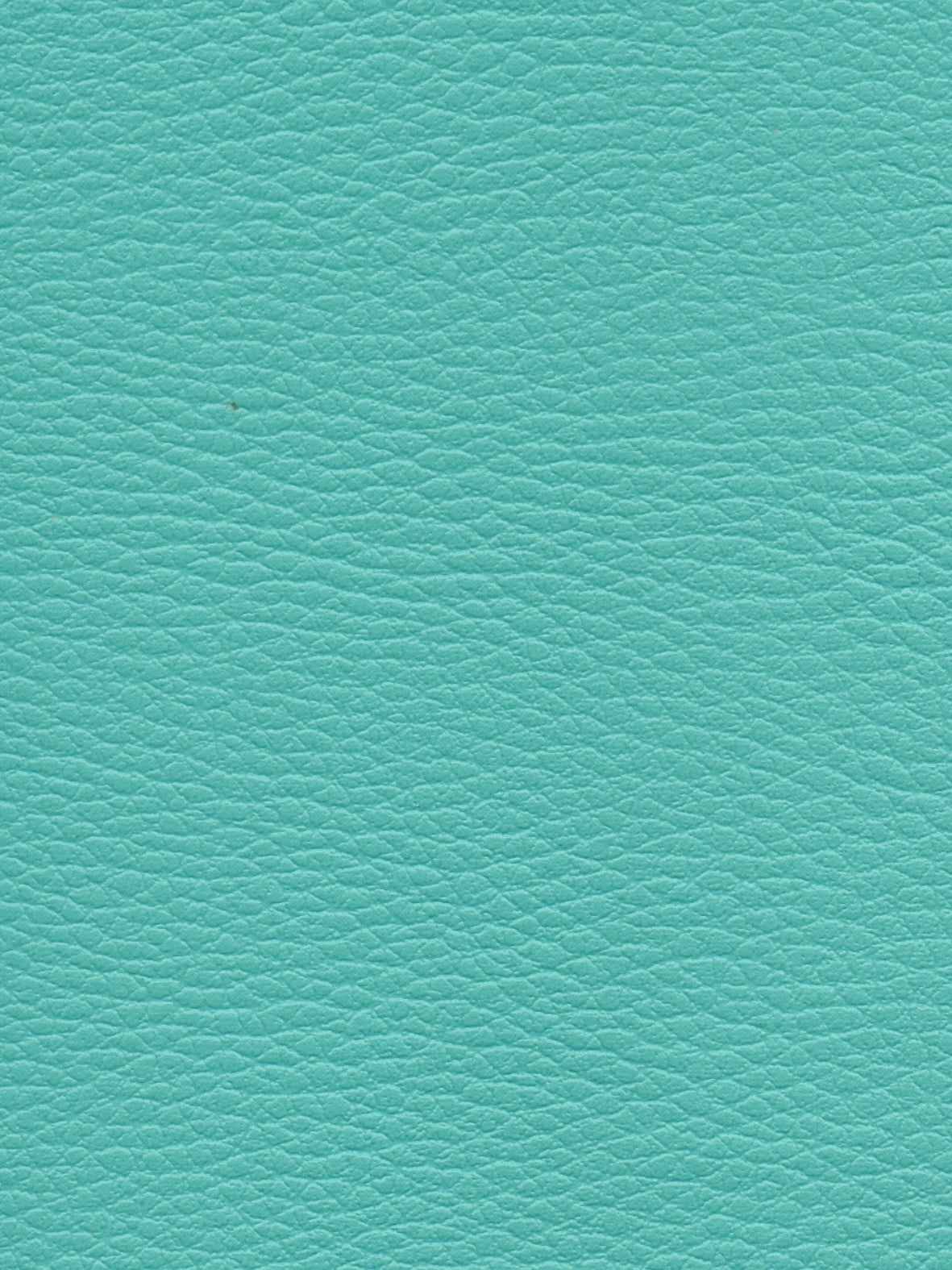 Imagen de CI-TURQUOISE