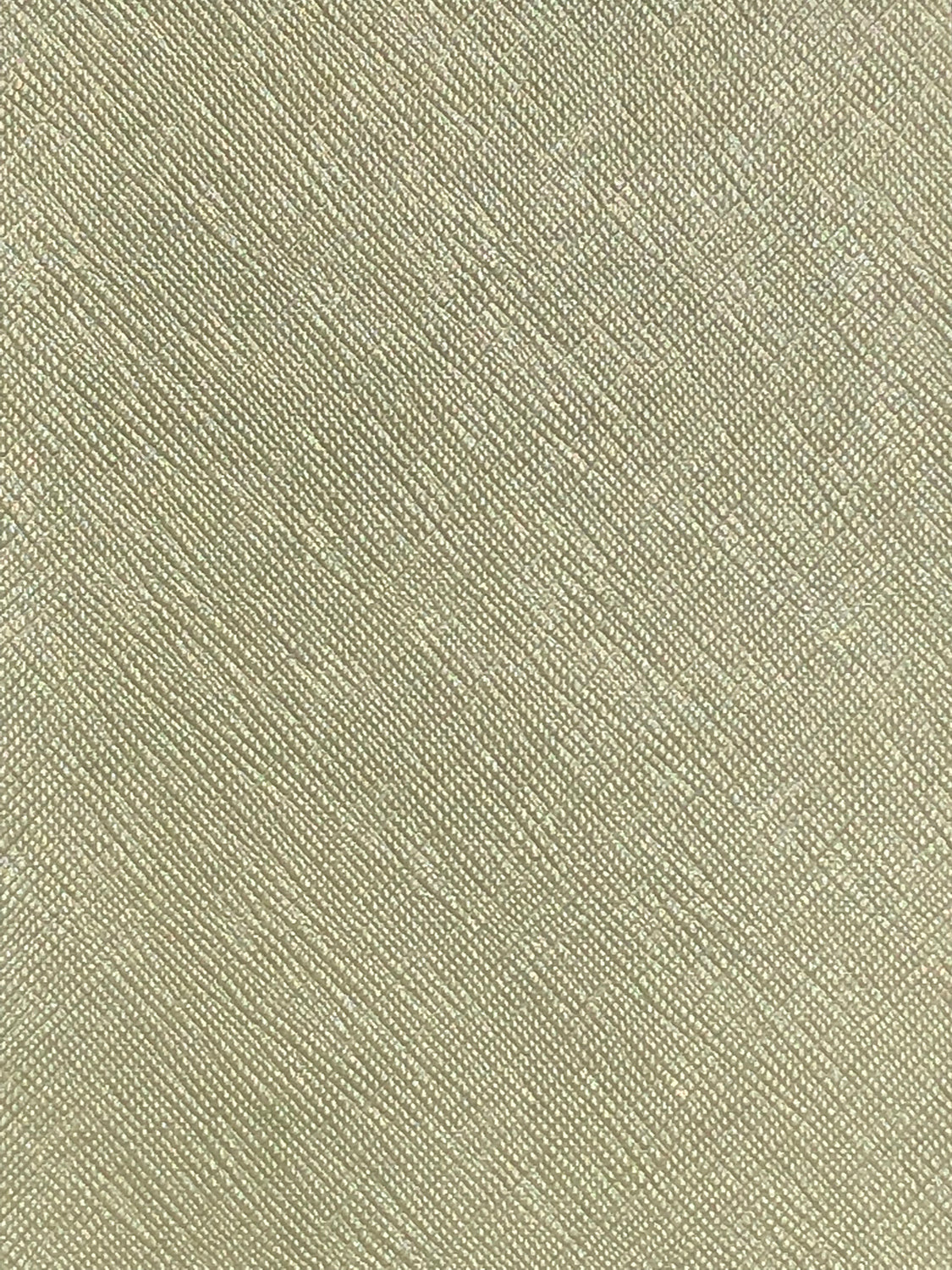 Imagen de COR-SALVIA