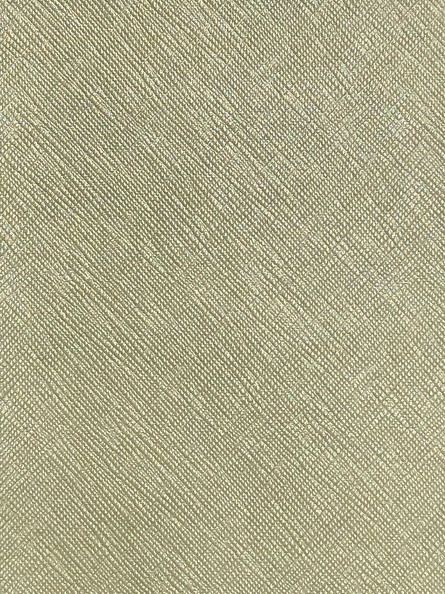 Imagen de COR-SALVIA