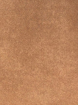 Imagen de E-181