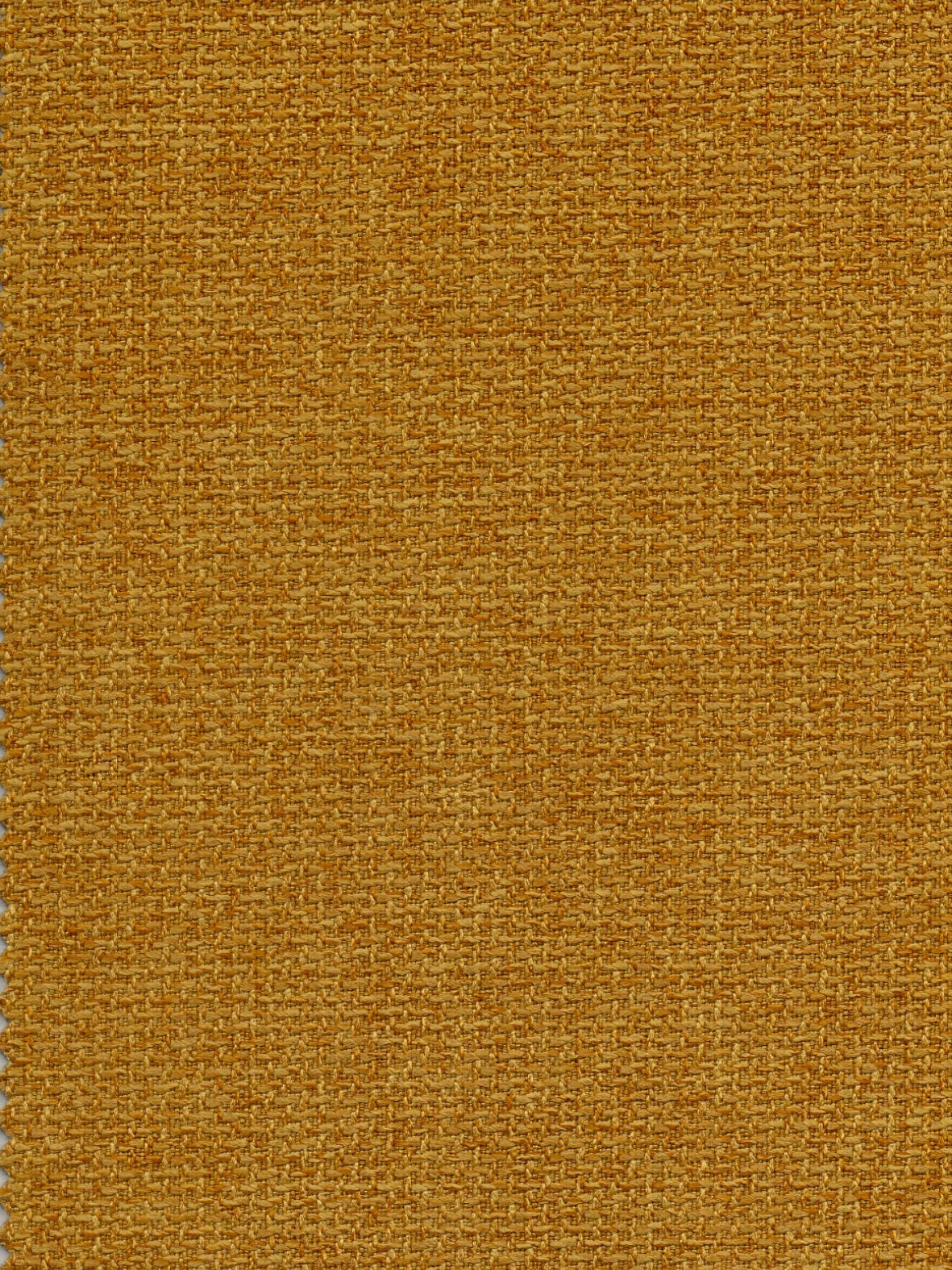 Imagen de EL-MUSTARD