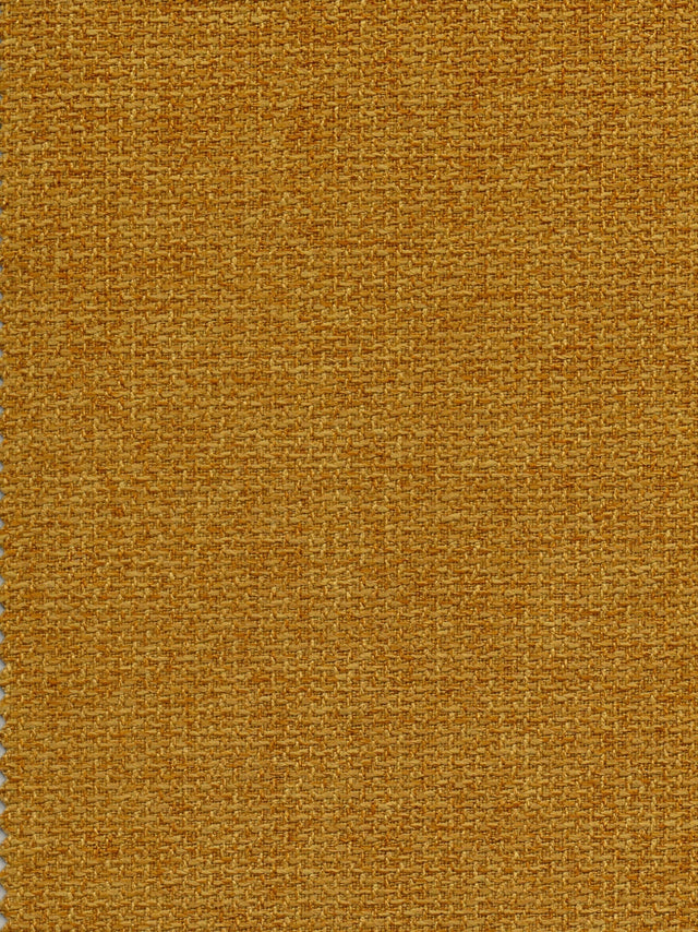 Imagen de EL-MUSTARD