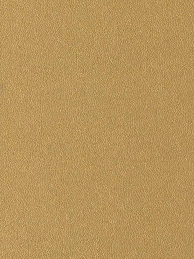 Imagen de EVF-MT-206