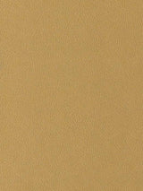 Imagen de EVF-MT-206