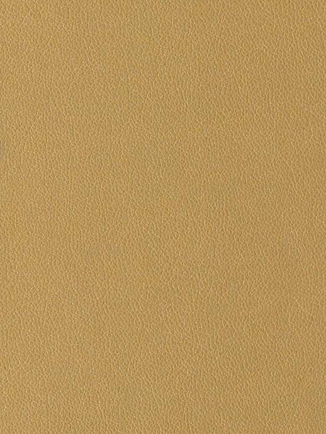 Imagen de EVF-MT-206