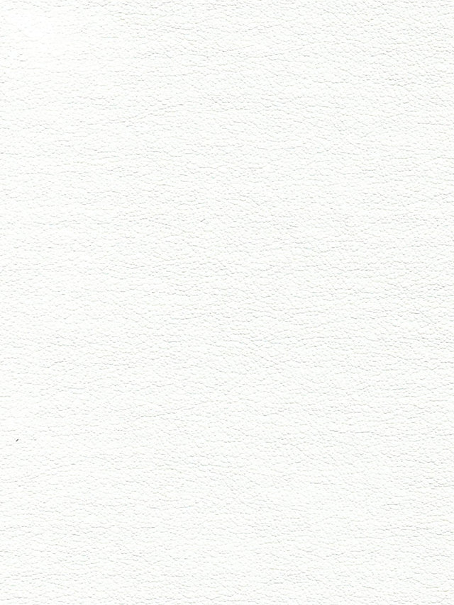 Imagen de EVF-MT-500