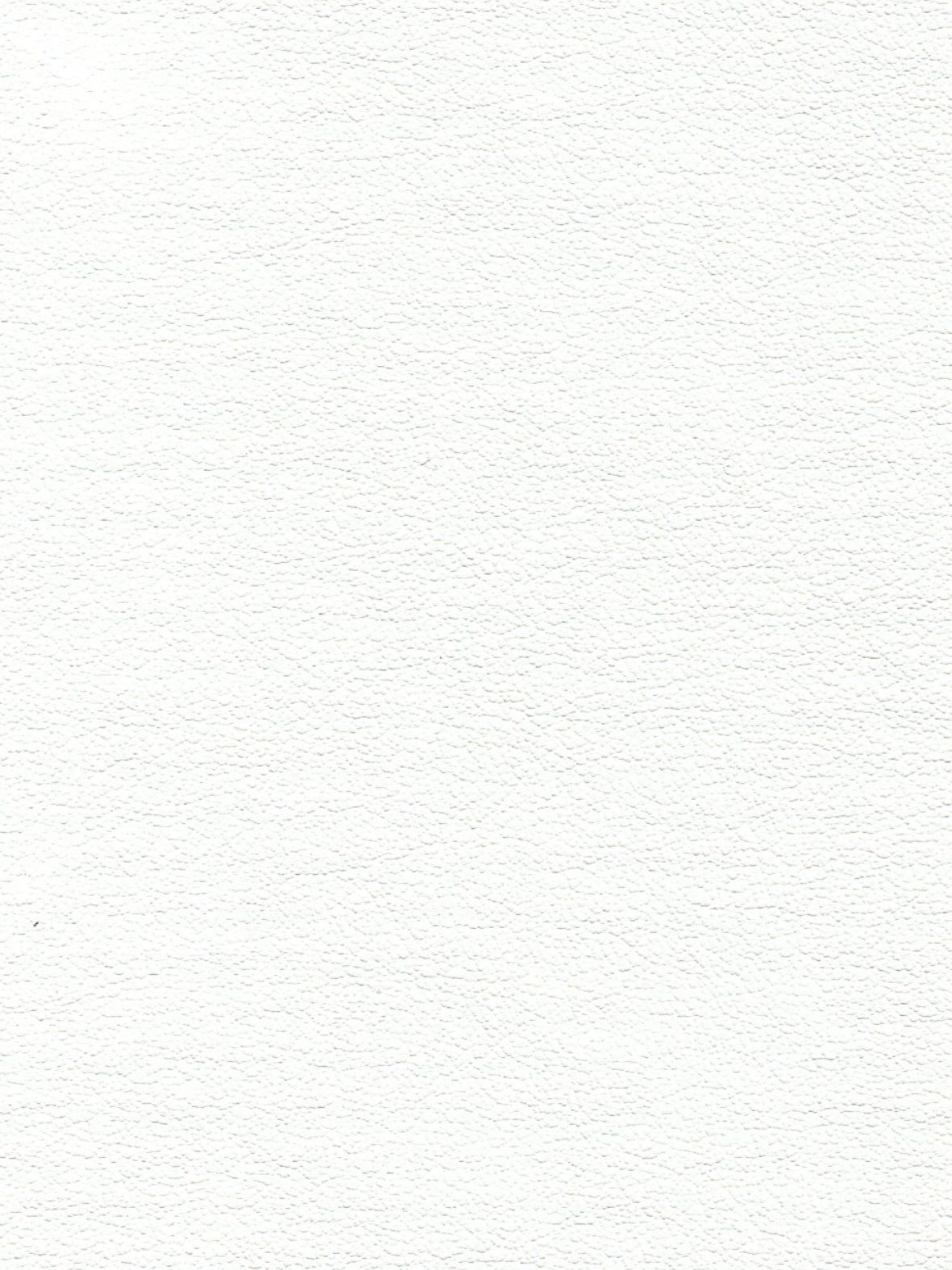 Imagen de EVF-MT-500