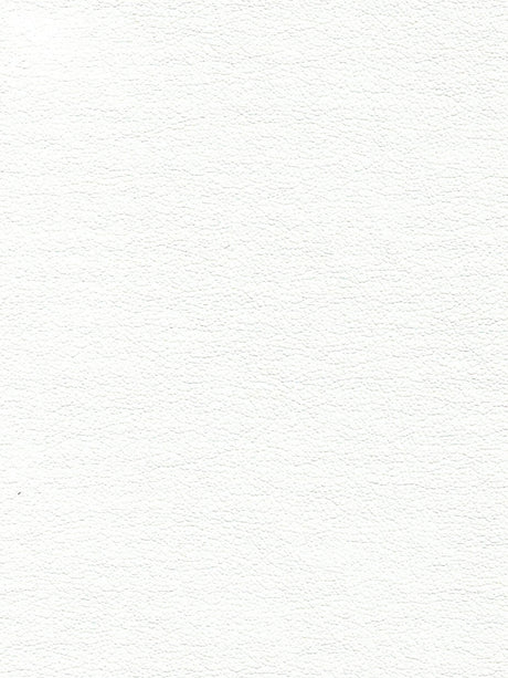 Imagen de EVF-MT-500