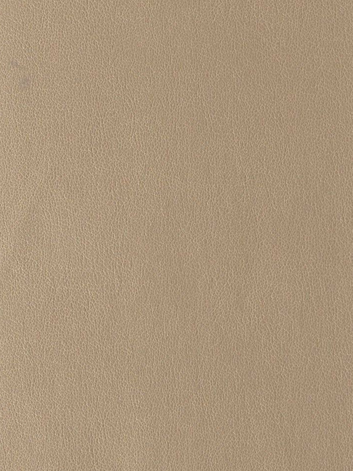 Imagen de EVF-MT-506