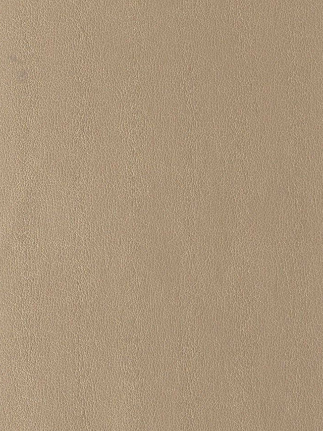 Imagen de EVF-MT-506