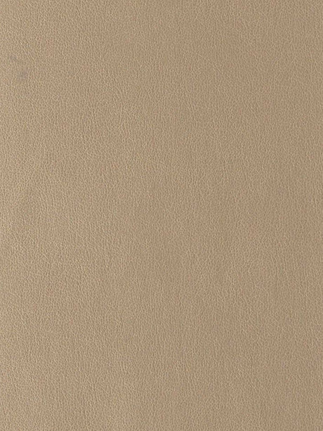 Imagen de EVF-MT-506