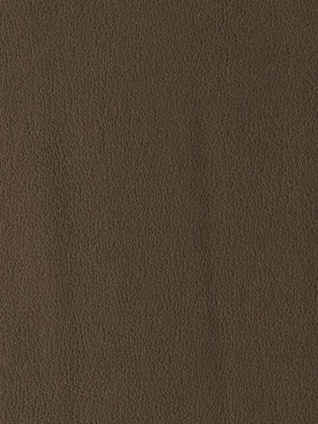 Imagen de EVF-MT-520