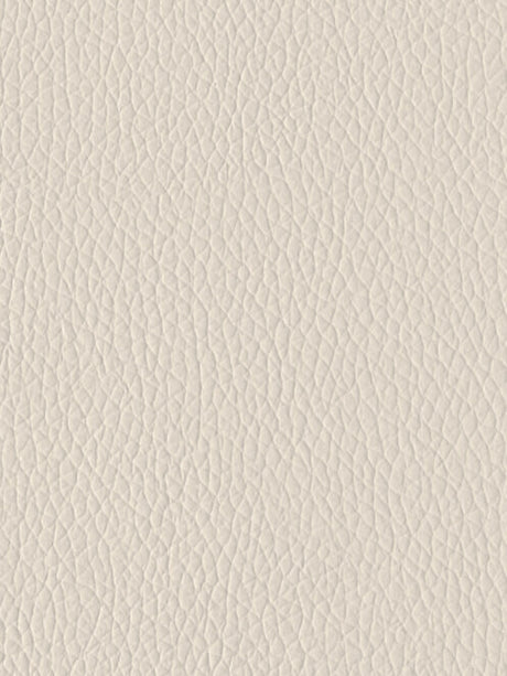 Imagen de EVG-201-FR