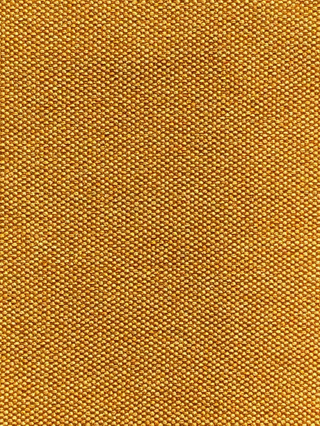 Imagen de FILO-OCRE
