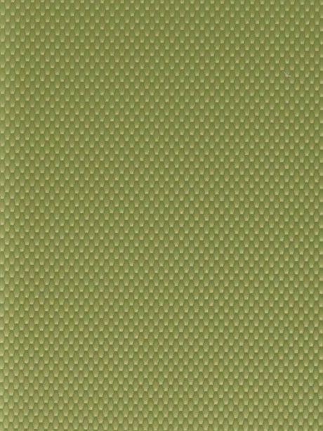 Imagen de GRA-KIWI