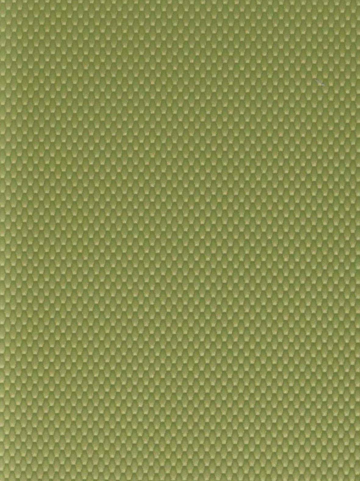 Imagen de GRA-KIWI