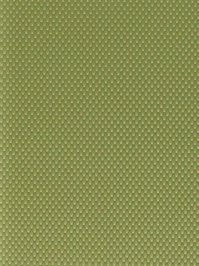 Imagen de GRA-KIWI