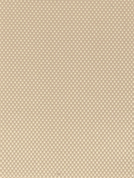 Imagen de GRA-TAUPE