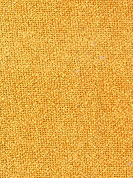 Imagen de GRU-MUSTARD