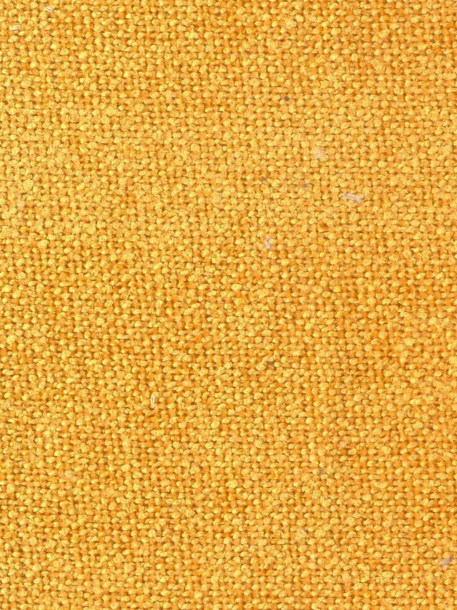 Imagen de GRU-MUSTARD