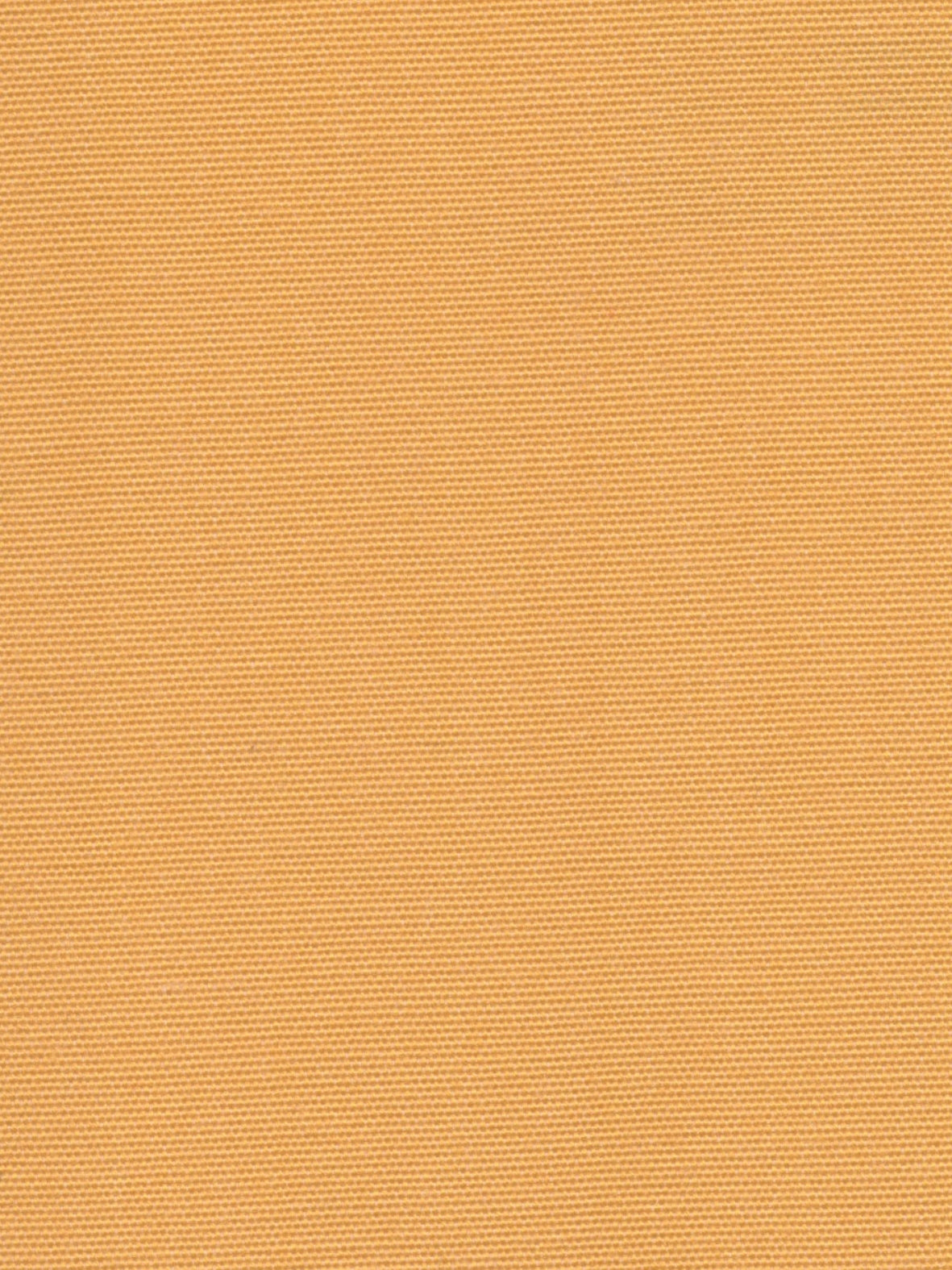 Imagen de HYD-CANARY