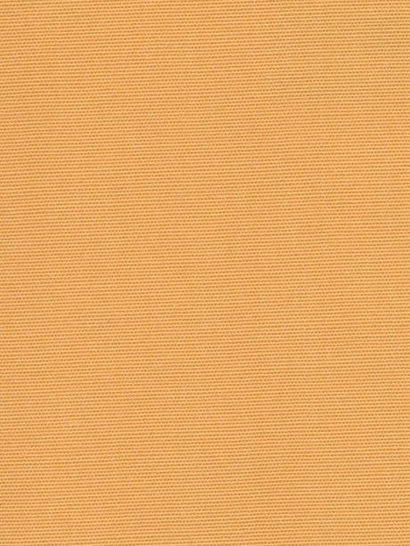 Imagen de HYD-CANARY