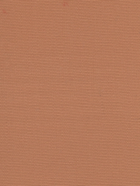 Imagen de HYD-GINGER