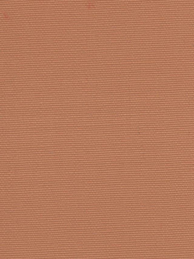 Imagen de HYD-GINGER