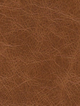 Imagen de LB-SADDLE
