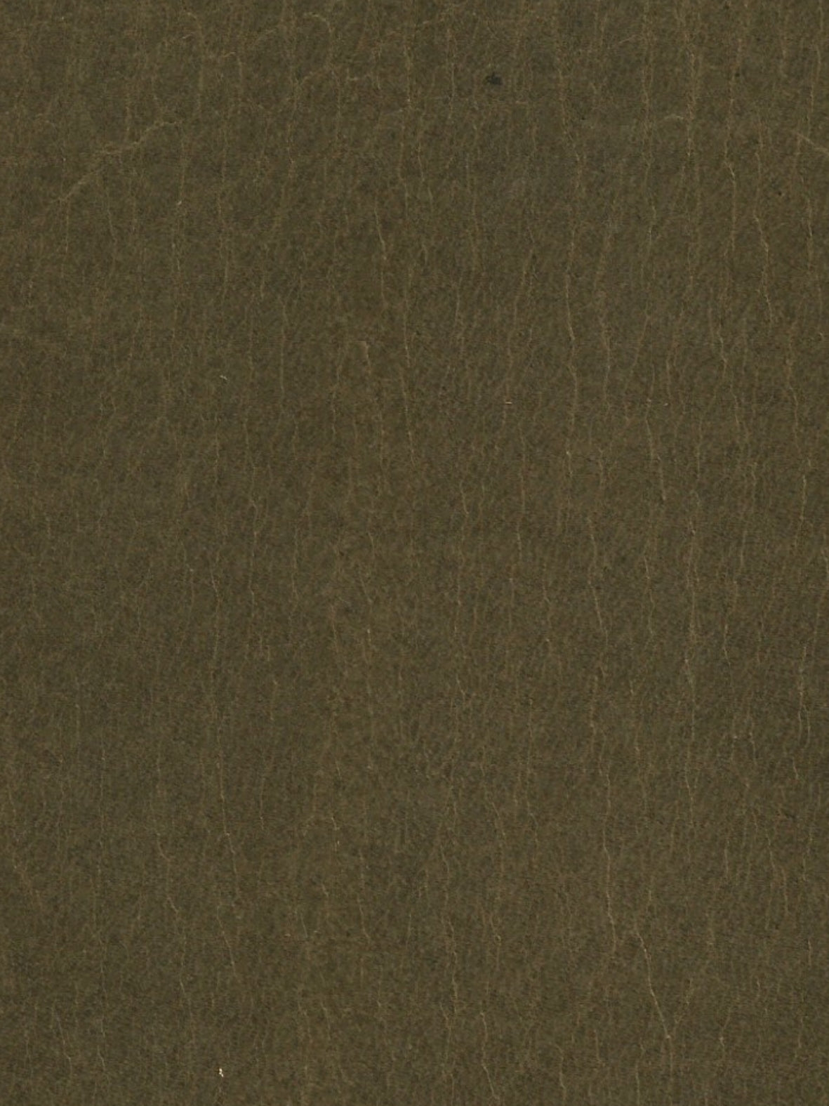 Imagen de LE-EMERALD