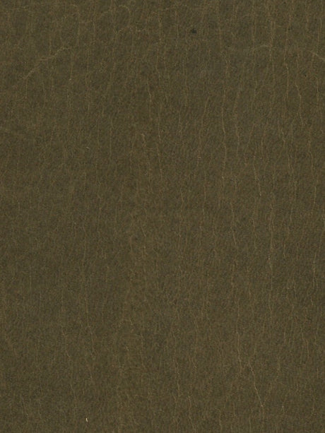 Imagen de LE-EMERALD