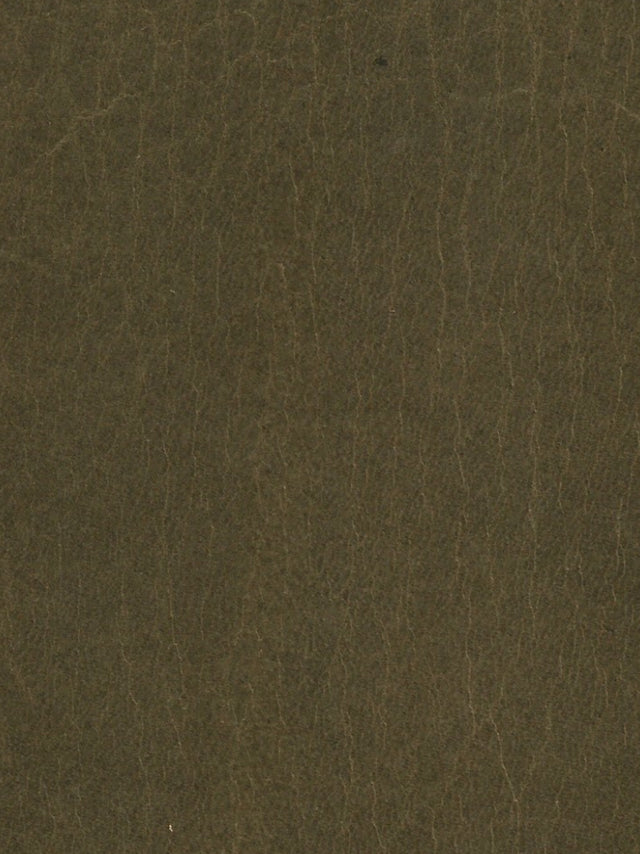 Imagen de LE-EMERALD