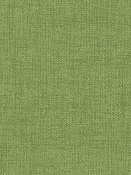 Imagen de LIN-SIL-1442