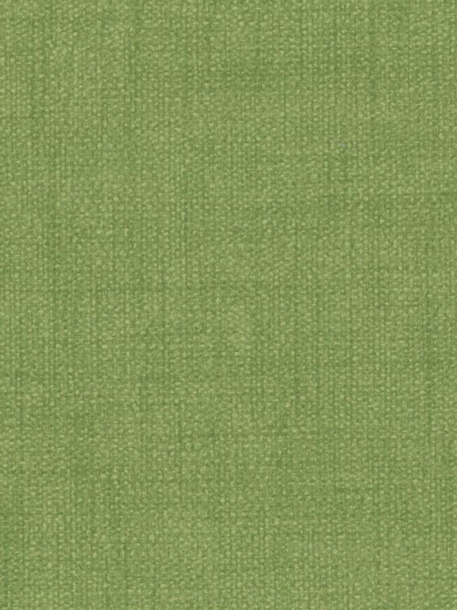 Imagen de LIN-SIL-1442