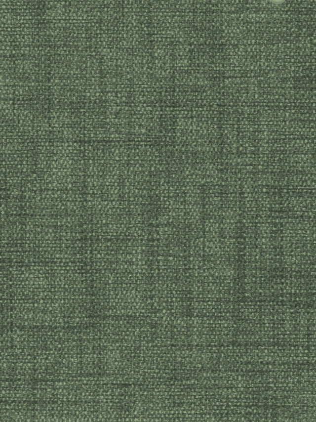 Imagen de LIN-SIL-1445